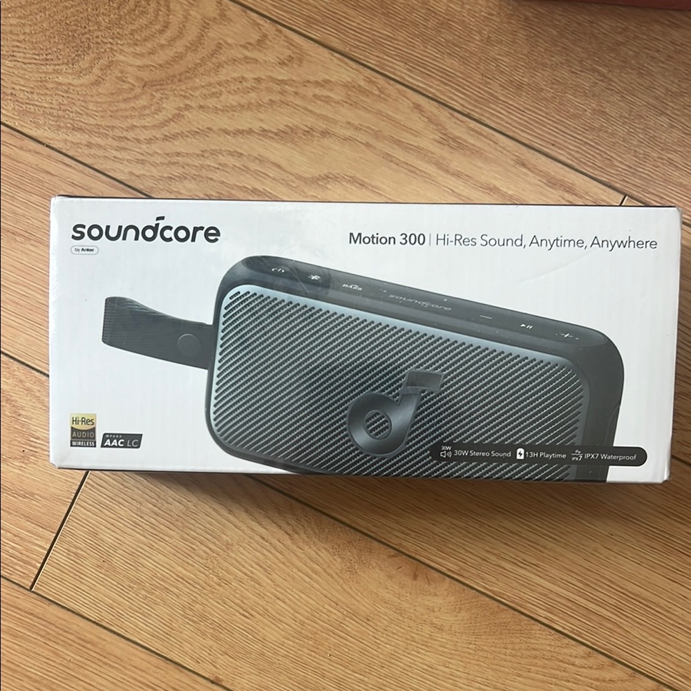 Motion 300 Black Portable Speaker